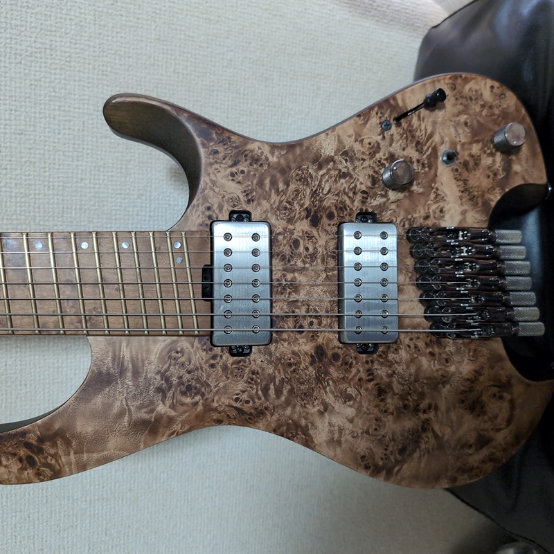 Ibanez QX527PB-ABSの画像